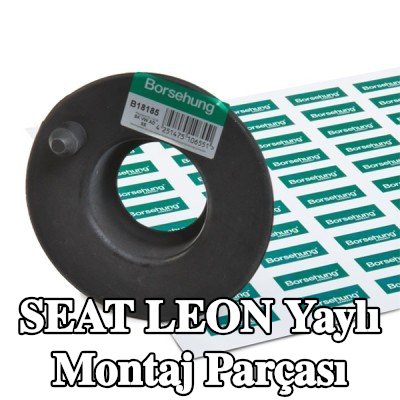 Borsehung Arka Aks Yay Montajı — SEAT Leon