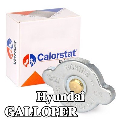 CALORSTAT by Vernet غطاء المبرد — 1997 Hyundai Galloper