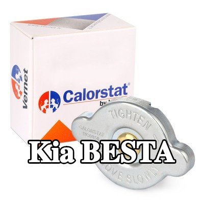 CALORSTAT by Vernet غطاء المبرد — Kia Besta
