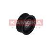 KAMOKA Gergi Kolu, V-oluklu kayış — 2012 Ford Ecosport (4)