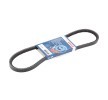 BOSCH V-kayışı 925mm — Nissan Cabstar (2)