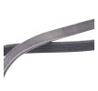 RIDEX PLUS Serpantin kayışı 975mm, Number of ribs: 4 — 2000 Hyundai H100 (4)