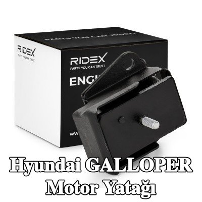 RIDEX Motor yatağı Ön — 1997 Hyundai Galloper