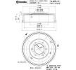 BREMBO Fren kampanas 295mm — 2002 Nissan Pick Up (3)