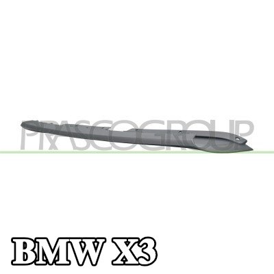 PRASCO قوالب المصد الأمامي — 2012 BMW X3