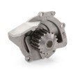 BOSCH Su pompası ve triger kayışı kiti Diş Sayısı: 116, Width: 25, 4mm — Peugeot Rcz (3)