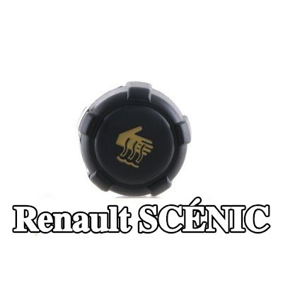 MAHLE غطاء خزان التمدد — 2002 Renault Scénic