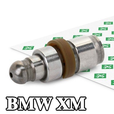 INA صمام — BMW Xm
