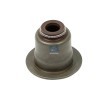 DT Spare Parts Valf mil contası — Ford Ranger (1)