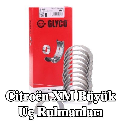 GLYCO Bronz kaplı çelik sırtlı büyük uç rulmanları — Citroën Xm