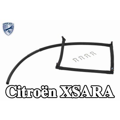 VAICO خرطوم فائض الوقود المناسب للديزل الحيوي — 2003 Citroën Xsara