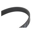 BOSCH Serpantin kayışı 1100mm, Number of ribs: 6 — Audi Tt (1)