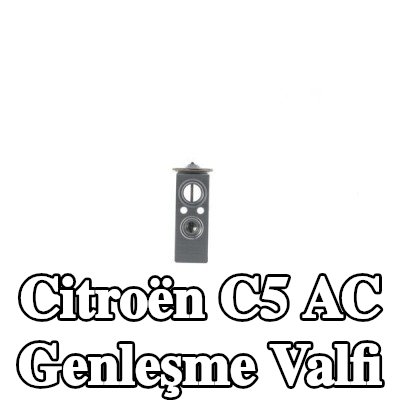 MAHLE AC genleşme valfi — 2004 Citroën C5