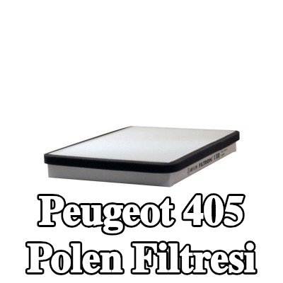FILTRON Polen filtresi Partikül Filtresi — Peugeot 405