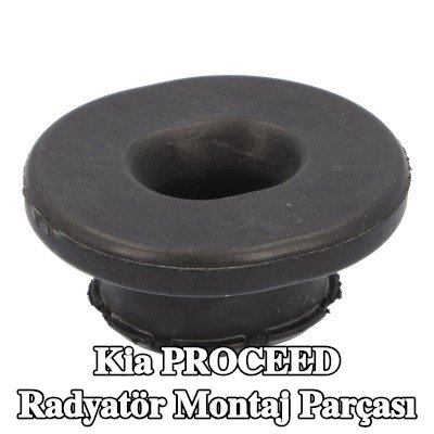 FEBI BILSTEIN Radyatör yuvası Alt — Kia Proceed