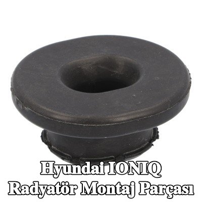 FEBI BILSTEIN Radyatör yuvası Alt — Hyundai Ioniq