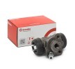 BREMBO Tekerlek Fren Silindiri Temel — Toyota Celica (1)