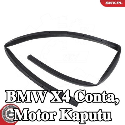ESEN SKV Conta, motor kaputu — BMW X4