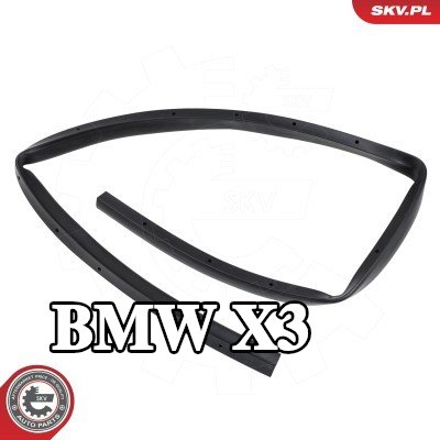 ESEN SKV حشية مانعة للتسرب، غطاء المحرك — BMW X3