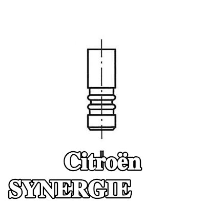 FRECCIA صمام السحب ساق الصمام المطلي بالكروم — 1999 Citroën Synergie
