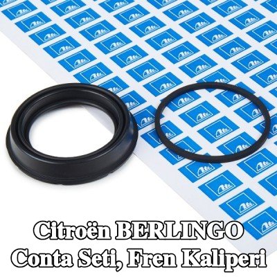 ATE Conta seti, fren kaliperi — Citroën Berlingo
