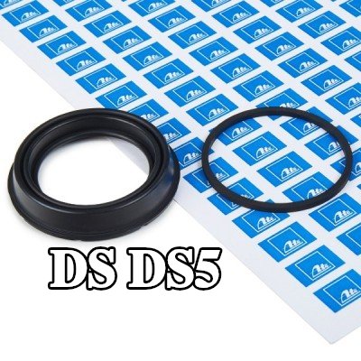 ATE مجموعة حشيات، مكبس الفرامل — DS Ds5