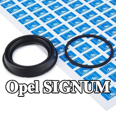 ATE مجموعة حشيات، مكبس الفرامل — Opel Signum