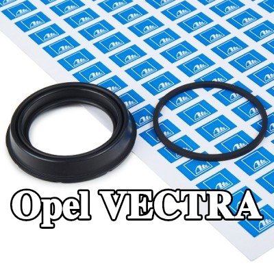 ATE مجموعة حشيات، مكبس الفرامل — Opel Vectra