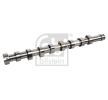 FEBI BILSTEIN Eksantrik Mili — Ford C-max (6)