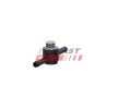 FAST Valf, yakıt filtresi — SEAT Ibiza (2)