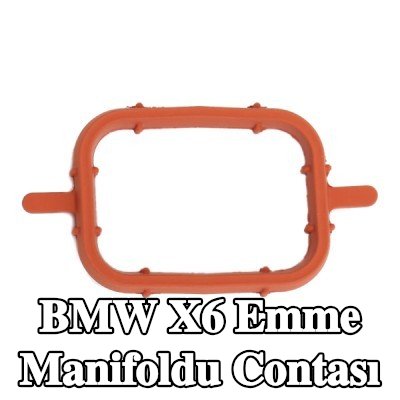 ELRING Emme manifoldu contası FPM (florür kauçuk) — 2008 BMW X6