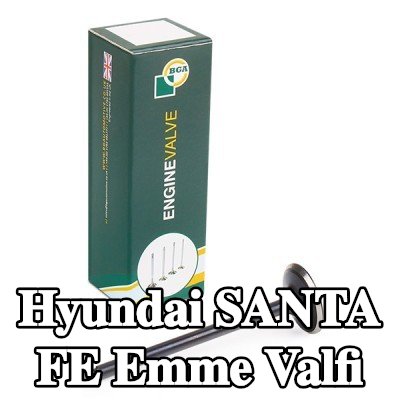 BGA Emme valfi — 2002 Hyundai Santa Fe