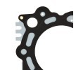 RIDEX Kafa contası 1, 22mm — Citroën C6 (4)