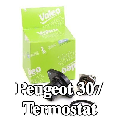 VALEO Termostat 89°C, conta/sızdırmazlık elemanları ile — Peugeot 307