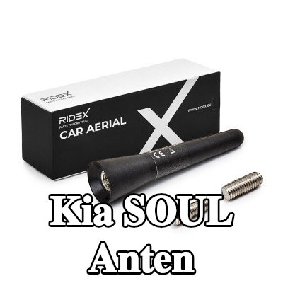 RIDEX Hava aracı tavanı — Kia Soul