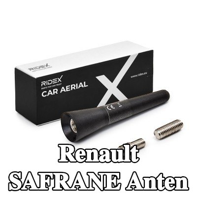 RIDEX Hava aracı tavanı — Renault Safrane