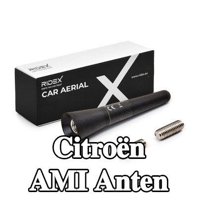 RIDEX Hava aracı tavanı — Citroën Ami