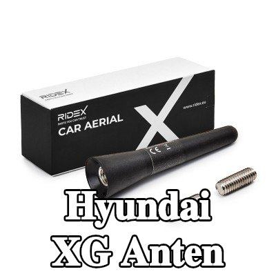 RIDEX Hava aracı tavanı — Hyundai Xg