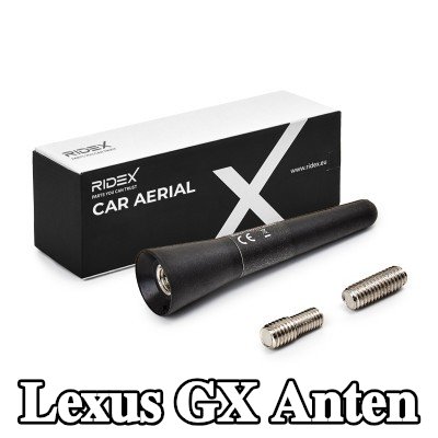 RIDEX Hava aracı tavanı — Lexus Gx
