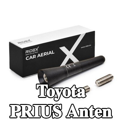 RIDEX Hava aracı tavanı — Toyota Prius