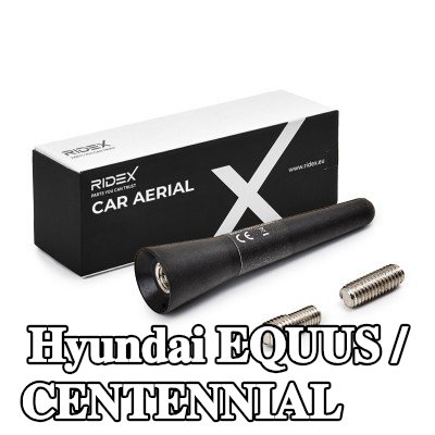 RIDEX سقف هوائي للمركبة — Hyundai Equus / Centennial