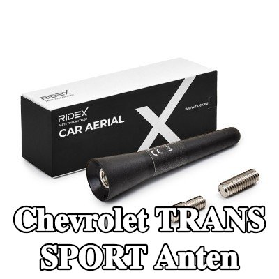 RIDEX Hava aracı tavanı — Chevrolet Trans Sport