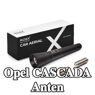 RIDEX Hava aracı tavanı — Opel Cascada