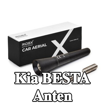 RIDEX Hava aracı tavanı — Kia Besta
