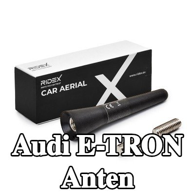 RIDEX Hava aracı tavanı — Audi E-tron