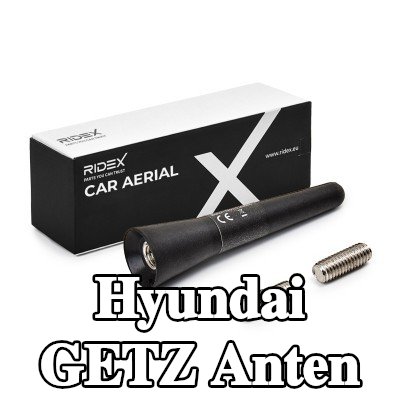 RIDEX Hava aracı tavanı — Hyundai Getz