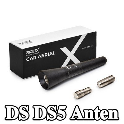 RIDEX Hava aracı tavanı — DS Ds5