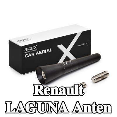 RIDEX Hava aracı tavanı — Renault Laguna