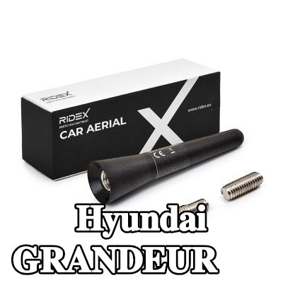 RIDEX سقف هوائي للمركبة — Hyundai Grandeur