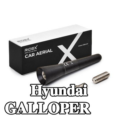 RIDEX سقف هوائي للمركبة — Hyundai Galloper